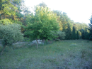 Widok placu